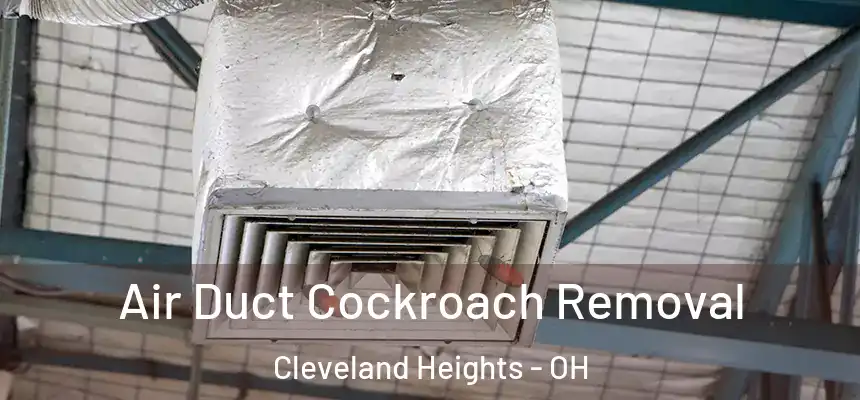  Air Duct Cockroach Removal Cleveland Heights - OH