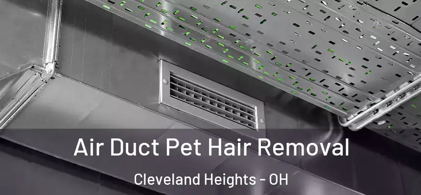  Air Duct Pet Hair Removal Cleveland Heights - OH