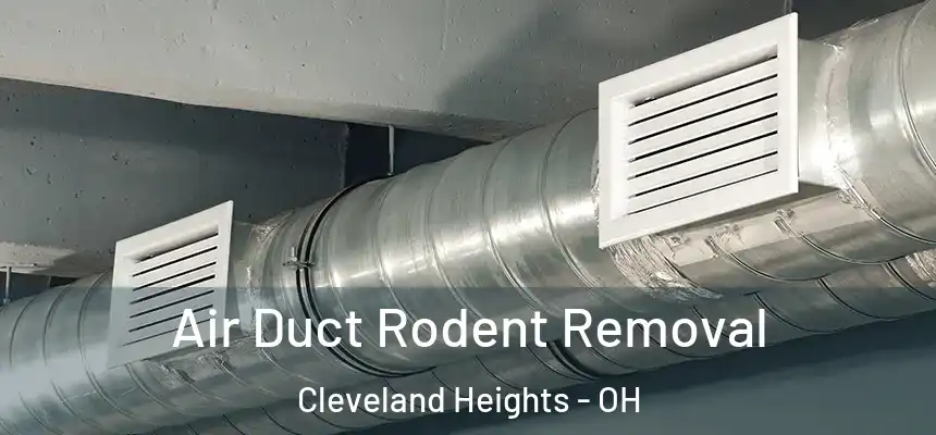  Air Duct Rodent Removal Cleveland Heights - OH