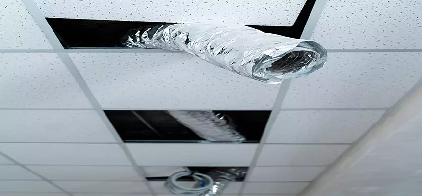 Our Air Duct Pet Hair Removal Services in Cleveland Heights, OH