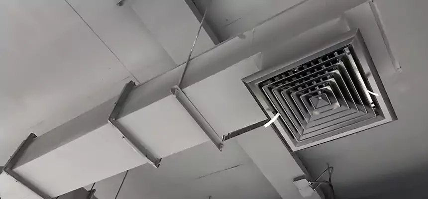 Our Rodent Droppings In Vents Services in Cleveland Heights, OH