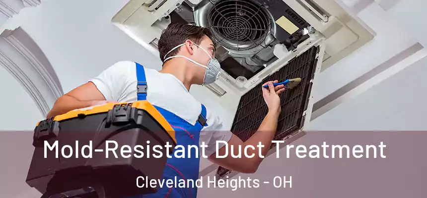  Mold-Resistant Duct Treatment Cleveland Heights - OH