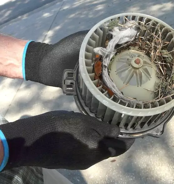 About Air Duct Rat Removal in Cleveland Heights, OH