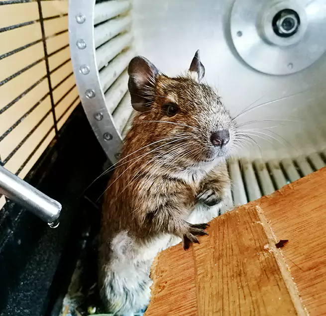 Why Homeowners & Businesses Trust Us Cleveland Heights, OH